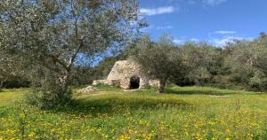 Odegos Affittacamere Maliconca