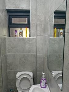 Legatus Cozy Studios 1