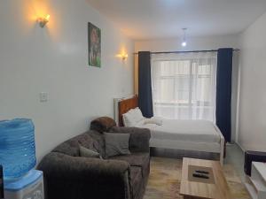 Legatus Cozy Studios 1