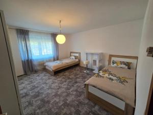 Ferienwohnung Freudenberg