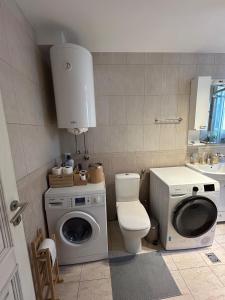 Urban Oasis - Fontana Novi Beograd