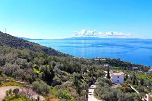 Villa Marius 074 - Qeparoi i Sipërm