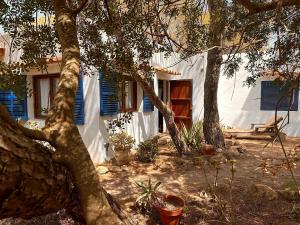 Studio Cristina, Migjorn-Playa
