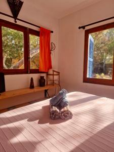 Studio Cristina, Migjorn-Playa