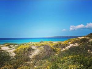 Studio Cristina, Migjorn-Playa