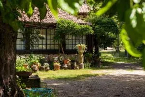 Chalé da Quinta "Lavoura da Bouça - Fruta Bio" - Corgo