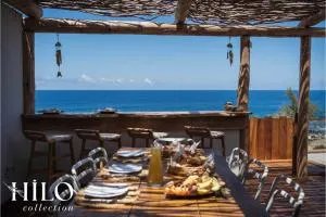 HILO Turtle Beach Villa Les 3 Bassins - Pool and Ocean private access - La Saline Les hauts 