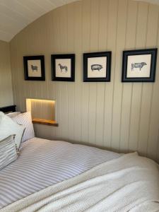 coastal view shepherds hut with hot tub