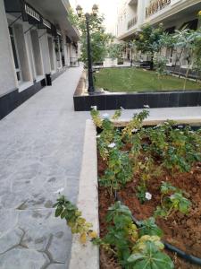 Apartment in Alnarjes شقة في حي النرجس