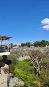 Aegina Modern Apartments The Elephant