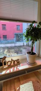 Wooden Dream with Terrace