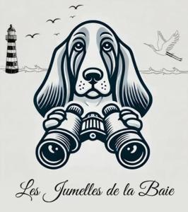 Maisons de vacances Les Jumelles de la Baie : photos des chambres