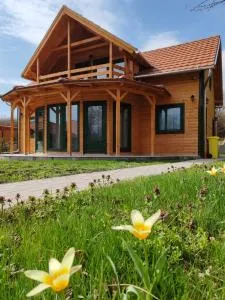 Faház Wellness Apartman Demjén - 代姆延