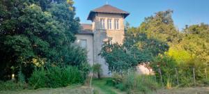 B&B / Chambres d'hotes B&B Chateau La Sechere : Chambre Lit Queen-Size 