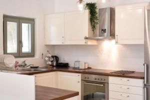 Sun I with private pool Drios beach Paros