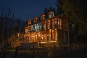 The Hidden Treasure - Pulga