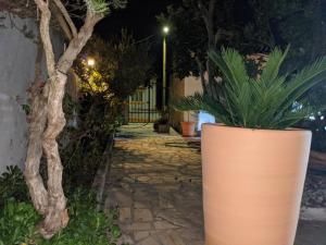 Rural Retreat - Quinta Sol 3 Bedroom House - Nazaré, Portugal