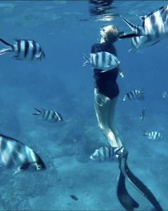 Catamaran Zile cruise