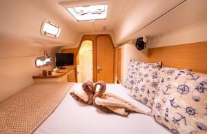 Catamaran Zile cruise