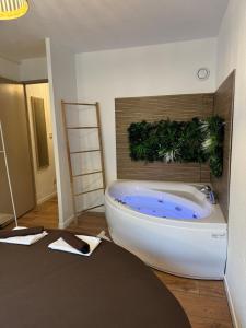 Appartements T2, Balneo, sauna, lit rond, jeux arcades, parking : photos des chambres