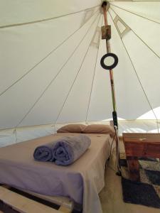 Camping B&B La Contea img13