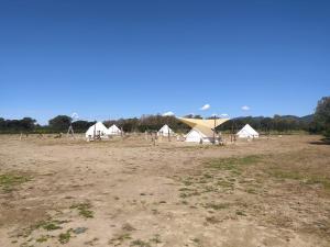 Camping B&B La Contea img22