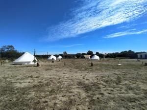 Camping B&B La Contea img24