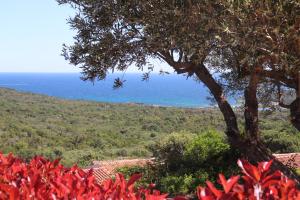 Villages vacances Residence U Pirellu : photos des chambres