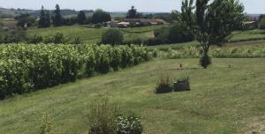 Villas Villa spacieuse avec piscine au milieu des vignes : photos des chambres