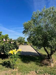 Villas Villa spacieuse avec piscine au milieu des vignes : photos des chambres