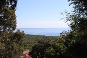 Villages vacances Residence U Pirellu : photos des chambres
