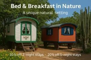 Mammaloe - San Fuego