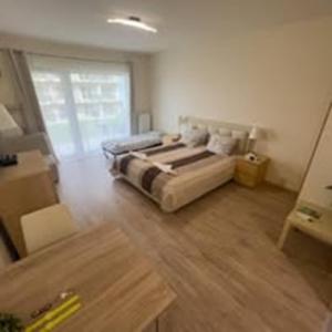 Velence Spa and Lake