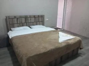 Star Zvartnoc Hotel - Musalerr