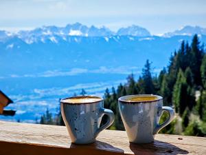 Panorama Apartment Gerlitzen