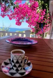 Sevinc Papatya House - Milas