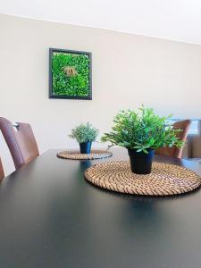 Appartements Le Melunais, face a la Seine : photos des chambres