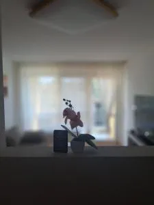 Ferienwohnung Shirin - Diebolsheim