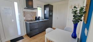 Chalet met privé tuin & hottub Zeeland VP064