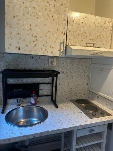 Superbe Studio Miromesnil Elysée