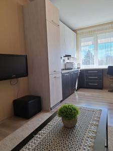 LuXury Apartment on Naujakiemis Street