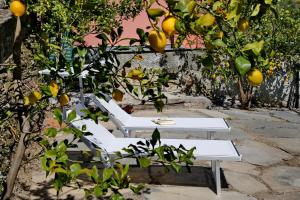 Ardesia apartment