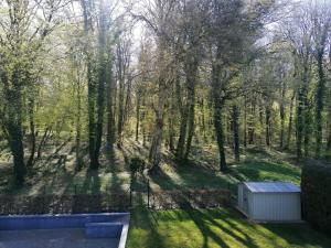 Appartements Gite du Hibou : photos des chambres