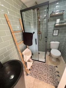 Appartements Studio ODEL - Charmant studio en pleine nature : photos des chambres