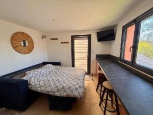 Appartements Studio ODEL - Charmant studio en pleine nature : Appartement 1 Chambre