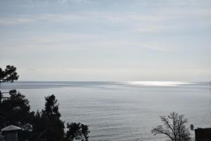 Amasing sea view apartment