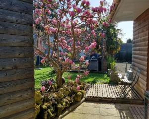 Maisons de vacances Le Rethel : photos des chambres