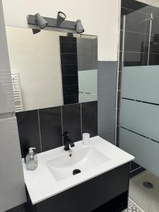 Ollie des Carmes with Clim and Free parking 300m away