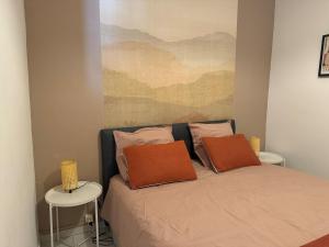 Ollie des Carmes with Clim and Free parking 300m away