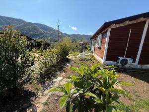 Baven -Toven Naturae